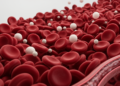 Blood cell ratio flags hidden cardiopulmonary risk in high-altitude polycythemia