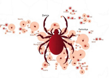 Zambia's Tick Map Reveals a Shifting Landscape of Disease Vectors
