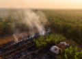 Fires in Indonesian oil palm concessions traced to community enclaves, not company land