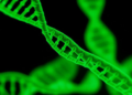AI Trained on Fake Images Learns to Spot Real DNA Damage from Radiation