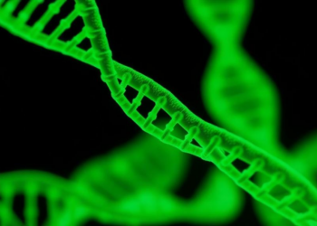 AI Trained on Fake Images Learns to Spot Real DNA Damage from Radiation