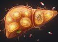 Metabolic Rewiring Emerges as a Central Driver of Liver Cancer Growth and Treatment Resistance