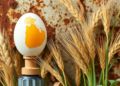 Rotten-Egg Gas Arms Wheat Against Rust by Switching On Cellular Recycling