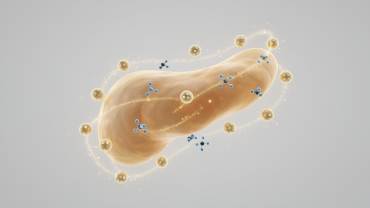 Alpha-Emitting Prostate Cancer Therapy 212Pb-ADVC001 Well Tolerated in First-in-Human Trial