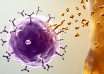 Lymphoma B Cell Receptors in Rheumatoid Arthritis Bind Modified Proteins