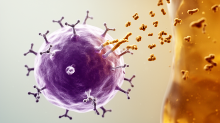 Lymphoma B Cell Receptors in Rheumatoid Arthritis Bind Modified Proteins