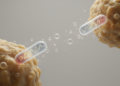 Klebsiella pneumoniae outer membrane vesicles boost biofilm growth and carry biofilm-related mRNAs