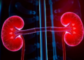 Melatonin Runs Low in Type 2 Diabetes but Fails to Flag Kidney Damage, Study Finds