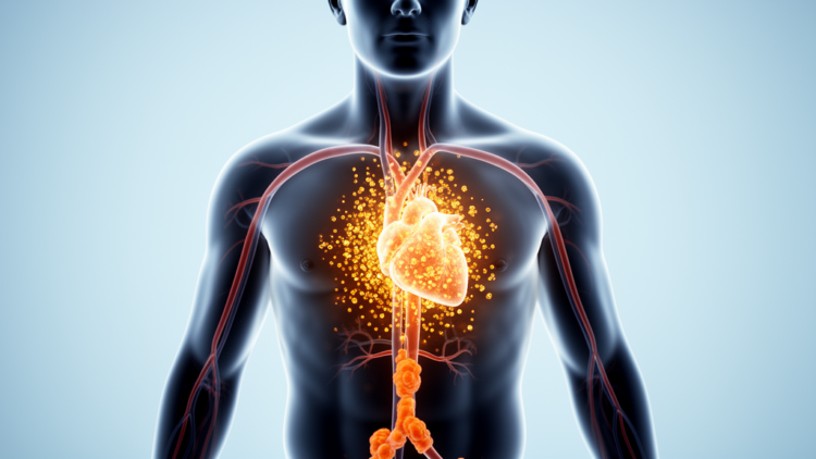Cumulative metabolic burden linked to higher cardiometabolic risk in non-diabetic adults