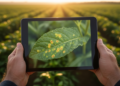 Lightweight hybrid transformer model detects plant diseases with over 99% accuracy