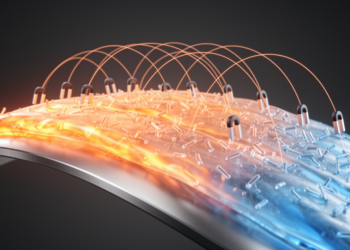 Magnetic Dipoles Reshape Heat and Mass Transfer in Nanofluid Flow Over Curved Surfaces