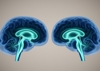 Brain ventricle size drives variability in a popular MRI marker of fluid transport