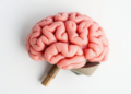 Fats in the Brain: How Lipid Imbalance May Drive Alzheimer's Before Symptoms Appear