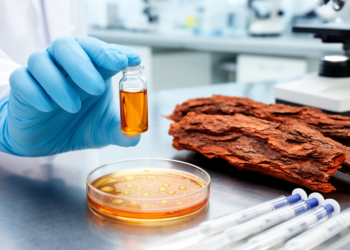 Tropical Tree Bark Compounds Show Promise Against Oral Bacteria in Early Study