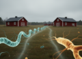 Resistant Campylobacter clones spread between nearby Finnish broiler farms rather than passing down from breeder flocks