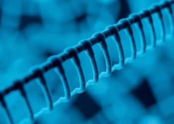 A Flawed Genetic Reference Could Trigger False Alarms in Whole-Genome Screening