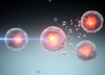 Why Singlet Oxygen Nanoplatforms Defy Comparison: A Review Finds a Metrology Problem