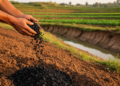 Biochar's erosion-control co-benefits valued at up to €25 per hectare yearly