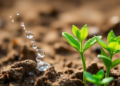 How Water, Plants and Microbes Team Up to Beat Drought