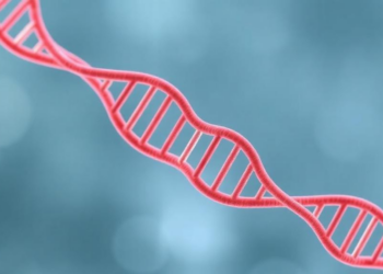 X chromosome study reveals new genetic links to dietary intake