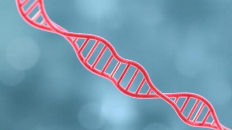 X chromosome study reveals new genetic links to dietary intake