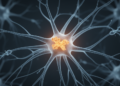 Astrocyte Stress Protein NDRG2 Emerges as a Candidate Target in Depression Review