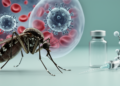 China's arbovirus landscape in 2026: immunity, outbreaks and vaccine lessons