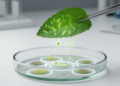 Microbes Hiding Inside Medicinal Plants Emerge as New Weapon Against Drug-Resistant Infections