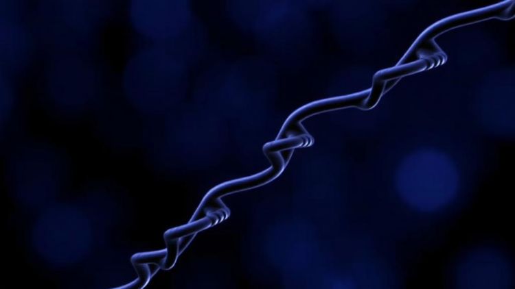 Hidden Gene Deletions Explain Severe Friedreich Ataxia Cases Misdiagnosed by Standard Testing