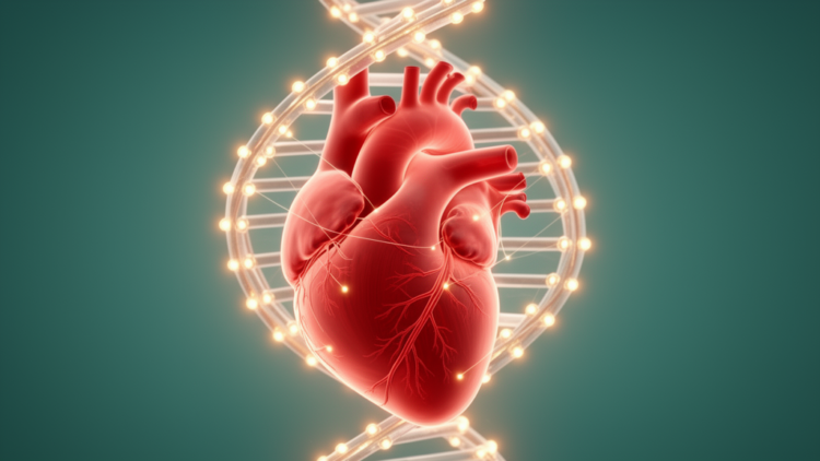 Massive Genetic Map Pinpoints 1,757 Heart Rhythm Variants Linked to Sudden Death