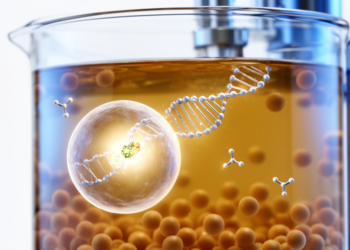 Base Editing Pinpoints Exon 7 Knockout for High-Yield CHO Antibody Production