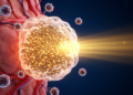 Immune-boosted boron neutron capture therapy shows striking tumor targeting in early study