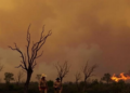 Colonial Land-Use Change Set the Stage for Australia's Wildfire Crisis