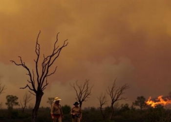 Colonial Land-Use Change Set the Stage for Australia's Wildfire Crisis