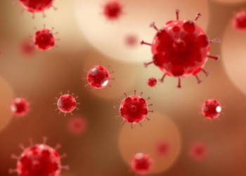 Tiny Blood-Borne Vesicles Carry Cytokine Clues to ER-Positive Breast Cancer and Its Treatment Response