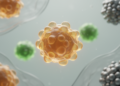 Organic Nanoparticles Emerge as Safer Rivals to Inorganic Theranostic Platforms