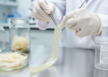 SPF Pig Tendons Turned Into Decellularized Biomaterial for Repair Research