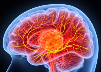 MRI Blood-Flow Technique Tracks Tumour Vessel Density Without Contrast Agents