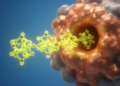 New Bis-Coumarinyl Compounds Show Strong Tyrosinase Inhibition