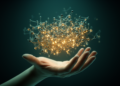 Body's biomarker network reorganizes dramatically at midlife in Mexican women, study finds