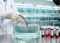 Cadmium hits fish blood hardest as arsenic and cobalt follow in 60-day tank trial