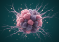 MEK inhibitor cobimetinib reshapes tumor-fibroblast crosstalk in preclinical anaplastic thyroid carcinoma models