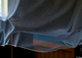 Mosquito Survey in Myanmar Reveals Hidden Filarial Worms Slipping Past Bed Nets