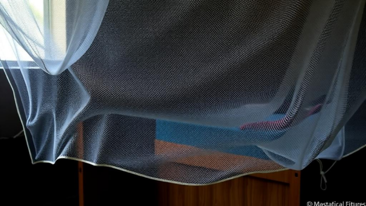 Mosquito Survey in Myanmar Reveals Hidden Filarial Worms Slipping Past Bed Nets