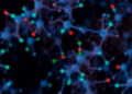 New AI Server Lets Scientists Analyze Spatial Gene Maps by Simply Asking