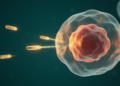 Optical Nanosensors Edge Closer to Catching Cancer at Its Earliest Stages