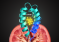 Computational Study Points to CYP1B1 as Kaempferol Target in Renal Fibrosis