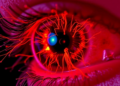 Nerve Fibers Invade the Aging Lens, Revealing How Cataracts Take Hold