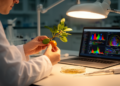Scientists map 201 sugar-transfer genes in the sour jujube genome