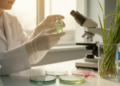 Switchgrass microbe's extracts show selective growth-stopping activity against tumor cells